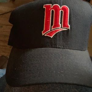 Twins baseball hat